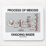 Process Of Meiosis Ongoing Inside Mouse Pad
