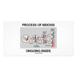 Process Of Meiosis Ongoing Inside photo cards