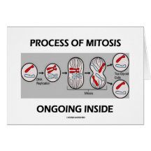 Process Of Mitosis Ongoing Inside Cards