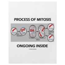 Process Of Mitosis Ongoing Inside