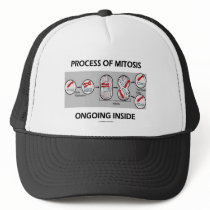Process Of Mitosis Ongoing Inside