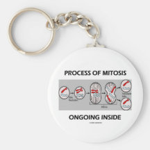 Process Of Mitosis Ongoing Inside Key Chains