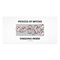 Process Of Mitosis Ongoing Inside