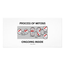 Process Of Mitosis Ongoing Inside Photo Card Template