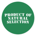 Product Of Natural Selection Round Stickers