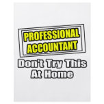 Professional Accountant...Don't Try This At Home Flyer