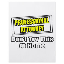 Professional Attorney...Don't Try This At Home