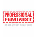 Professional Feminist t-shirts