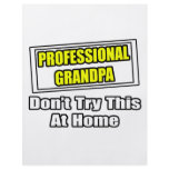 Professional Grandpa...Don't Try This At Home flyers