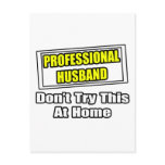 Professional Husband...Joke Postcard