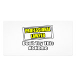 Professional Lawyer...Don't Try This At Home
