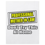 Professional Mother-In-Law...Joke flyers