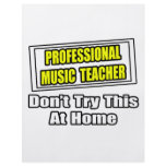 Professional Music Teacher...Joke flyers