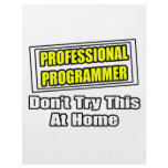 Professional Programmer...Joke flyers