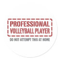 Professional Volleyball Player stickers