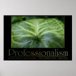 Professionalism posters