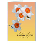 Professor Einstein's Flowers cards
