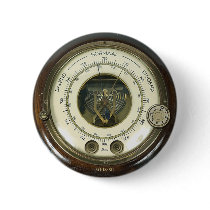 Professor Temple's Baraethiometer Pin