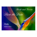 Profile Card_Save the Date business cards
