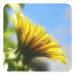 Profile - Golden Dandelion stickers