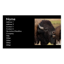 profile or business card, bison grunting
