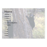 profile or business card, black bear cubs