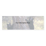 profile or business card, black bear cubs