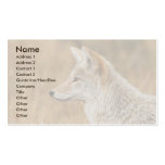profile or business card, coyote