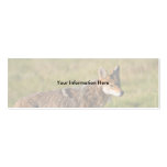 profile or business card, coyote