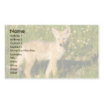 profile or business card, coyote