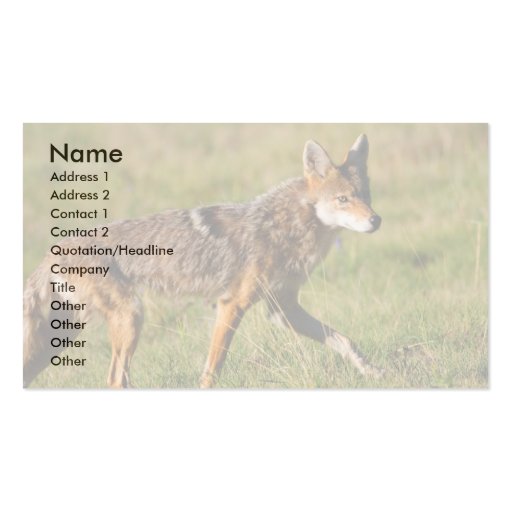 profile or business card, coyote