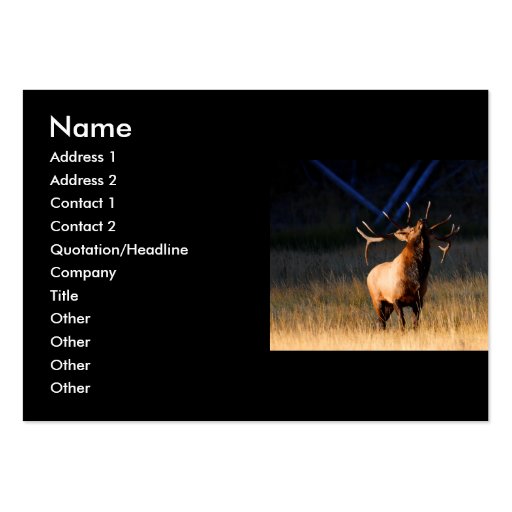 profile or business card, elk