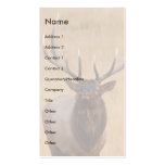 profile or business card, elk