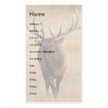 profile or business card, elk