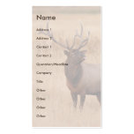 profile or business card, elk raspberry