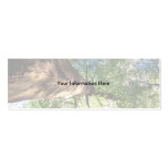 profile or business card, old growth tree