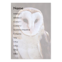 profile or business card, owl