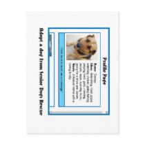 profileseniordogs postcard