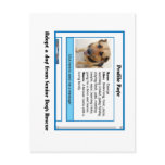 profileseniordogs postcards