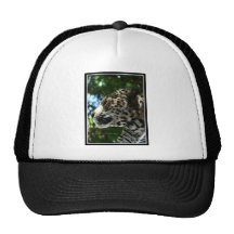 Profiling the Cheetah Mesh Hat