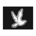 Profit to Unicef - Dove postcards