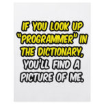 Programmer In Dictionary...My Picture flyers