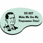 Programmer Voice photo sculptures
