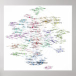 Programmers Search Relations Network