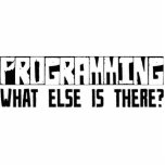 Programming What Else Is There? photo sculptures