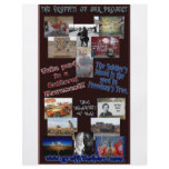 Project Flyer