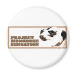 Project Mongoose Sensation magnets