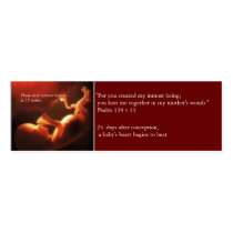 Prolife Card Business Card