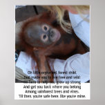 Promise to Wildlife Orphans posters