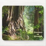 Promoted to Grandpa! mousepad Redwood Trees
